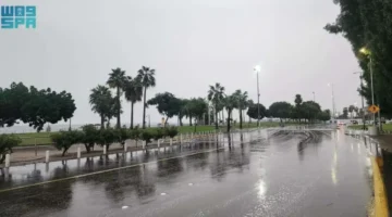 أمطار متفاوتة الشدة تسقط على مناطق واسعة بالمملكة وتؤثر على الحياة اليومية